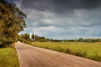 &quot;Kelias į Palėvenę&quot; Birutė Simanavičienė